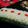 Cooksnap dari Wulansary untuk resep Brownies kukus pandan ny Liem