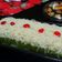 Cooksnap dari Wulansary untuk resep Brownies kukus pandan ny Liem