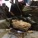 Cooksnap dari Yolee SM untuk resep Bothok Mlanding