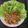 Cooksnap dari christmarini untuk resep Oseng Tuna Pedas