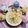 Cooksnap của Annie Vo khi họ làm theo món Nui chiên sốt bơ tỏi ớt