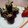 Cooksnap dari Trias Isa untuk resep Strawberry Chocolate