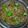 Nazia Qureshi's cooksnap of when they made Qeema Matar.