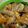 Cooksnap dari aldiana saputera untuk resep Kepiting saus padang