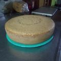 El cooksnap de kritostar cuando hizo Bizcochuelo 1234 sin horno con olla Essen.