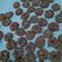 Cooksnap dari Vietry untuk resep Semprit Coklat