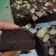 Cooksnap dari Natalia Yap untuk resep Brownis kukus super nyoklat favorit keluarga