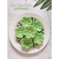 Cooksnap dari irani nara untuk resep Kue Apem Nasi