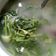Cooksnap dari Rahma Triyanti untuk resep Sayur Bobor Bayam Labu Siam