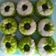 Cooksnap dari Inzih Mohune untuk resep Talam Ijo Pandan Suji Asli versi 2