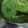 Cooksnap dari vita untuk resep Sambel ijo ala padang