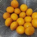 Cooksnap dari Feby.ani untuk resep Bola Ubi Kopong 🍠