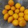 Cooksnap dari Feby.ani untuk resep Bola Ubi Kopong 🍠