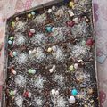 صورة من 💞🌺مالح وحلو🌺💞 ، شاركها بعد تجربة وصفة كيكة بذوق شوكولاتة 🍫 مع صلصة جديدة "الصلصة 3"