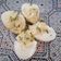 Cooksnap de Jess Allain sur la recette Œuf mimosa 🥚