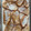 El cooksnap de Alicia de Lunares cuando hizo Torrijas al horno light.