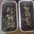 Cooksnap dari Muhammad Aditya Fauzan untuk resep Brownies Panggang 1 Telur Shiny Crust
