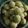 Asha Sharma's cooksnap of when they made Sesame ladoo.