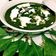 Priya vishnu Varshney का कुकस्नैप जब उन्होंने पालक पनीर (palak paneer recipe in Hindi) बनाया था।
