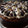 El cooksnap de Yamii Calfupan cuando hizo Torta marmolada.