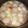 庭秀 的 味增蘿蔔貢丸湯 cooksnap
