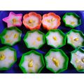 Cooksnap dari Sri Puspita untuk resep Talam Nangka Thailand