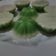Cooksnap dari Nanik.anjarwati untuk resep 018. Kue talam. Mudah buatnya