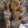 El cooksnap de Ximena Paz cuando hizo Trufas de avena, coco y pasta de maní.