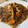 El cooksnap de CHONI CÍA. FLAMENCA cuando hizo Pechugas de pollo en salsa de apio, zanahoria y champiñones.