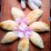 Cooksnap dari Shazmina Kitchen Diary🐥 untuk resep Curry Puff pastel (Pastel Singapura)