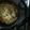 El cooksnap de Tatiana Arboleda Velez cuando hizo Pasta corta con aguacate y maíz.