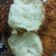 Cooksnap dari Ummu Nafis untuk resep Roti Abon (Meatfloss Buns)