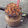 Cooksnap dari rihma suladria untuk resep MiLo Dinosaur
