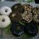 Cooksnap dari Tuty Handayani untuk resep Donat Maizena