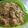 Sukla Sil's cooksnap of when they made নিরামিষ খিচুড়ি (niramish khichdi recipe in Bengali).