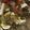 Cooksnap dari Evie Ye untuk resep Kiam Chai (Tumis Sayur Asin)