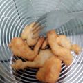 Cooksnap dari Syelaa untuk resep Jamur crispy