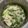 @ 裴卿 ❤️ 的 香腸肉末青江菜煨の手延素麵 cooksnap