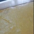 Cooksnap dari Dian Natylla untuk resep Ketan Talam Durian/ Serimuka Durian