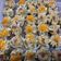 Cooksnap dari Diny Wibawati untuk resep Dimsum Ayam (buat bakulan)