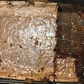 El cooksnap de Carolina Caudullo cuando hizo Brownie De chocolate fácil, Rico y económico.