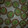 El cooksnap de Valen Jauregui cuando hizo Galletas de Navidad decoradas.