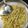 Pragna Patel's cooksnap of when they made તડકા મેગી (Tadka Maggi Recipe In Gujarati).