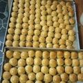 Cooksnap dari Dapur Esmo untuk resep Nastar Keju