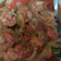 Cooksnap dari Hellen Anastasya untuk resep Udang Saos Tiram Pedas