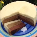 Cooksnap dari 🍛hobimakan🐐 untuk resep Bolu kukus tiramisu 3 lapis