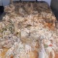 El cooksnap de daniela martin cuando hizo Cazuela de pollo con arroz.