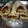 Bakul Samantha Sarkar's cooksnap of when they made এগ রোল (egg roll recipe in Bengali).