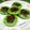 Cooksnap dari Hayati MS untuk resep Kue Cubit Santan