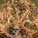 Cooksnap dari Mama Diarcy untuk resep Gudangan / Urapan